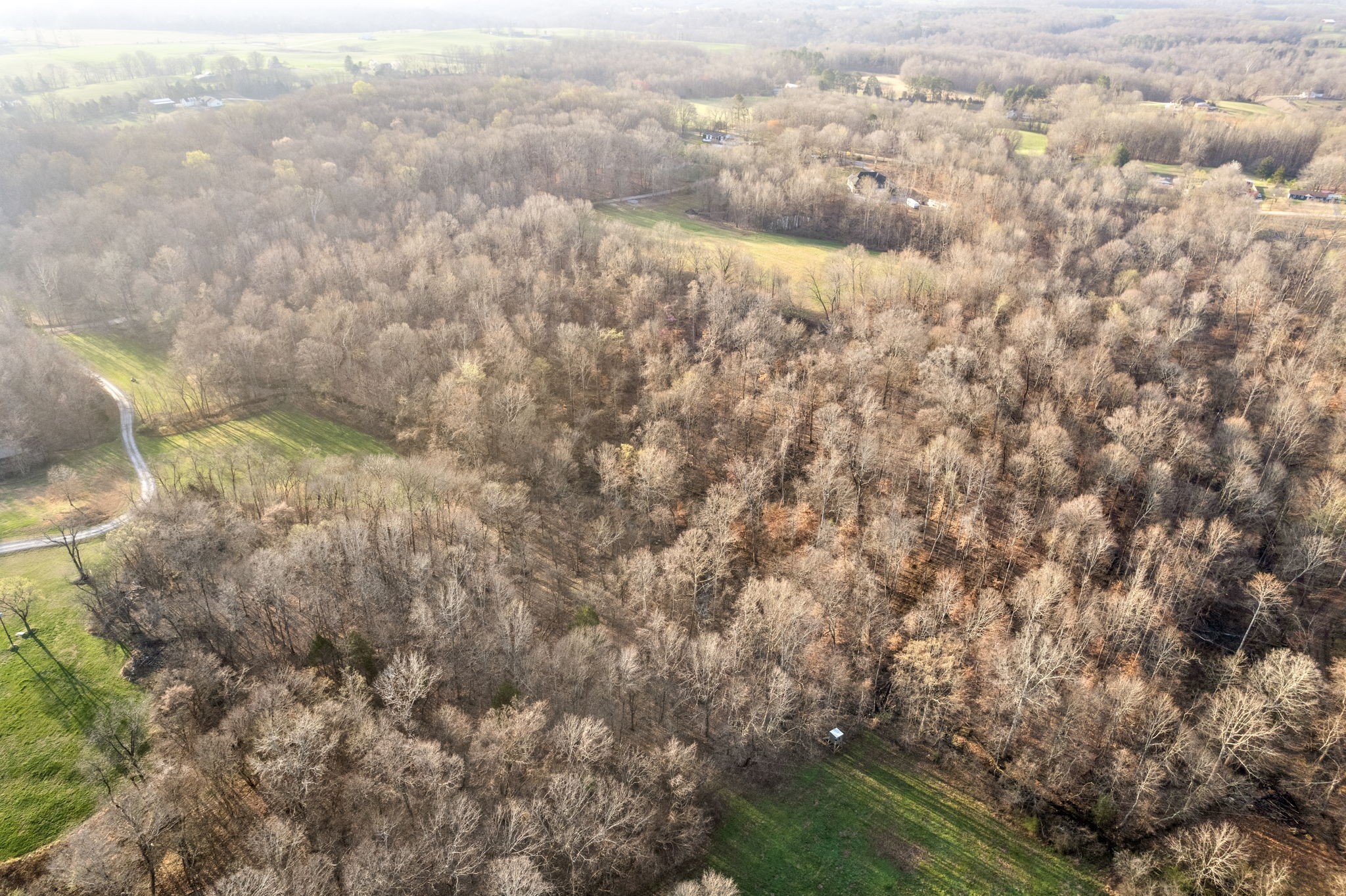 880 Wiley Brown Road