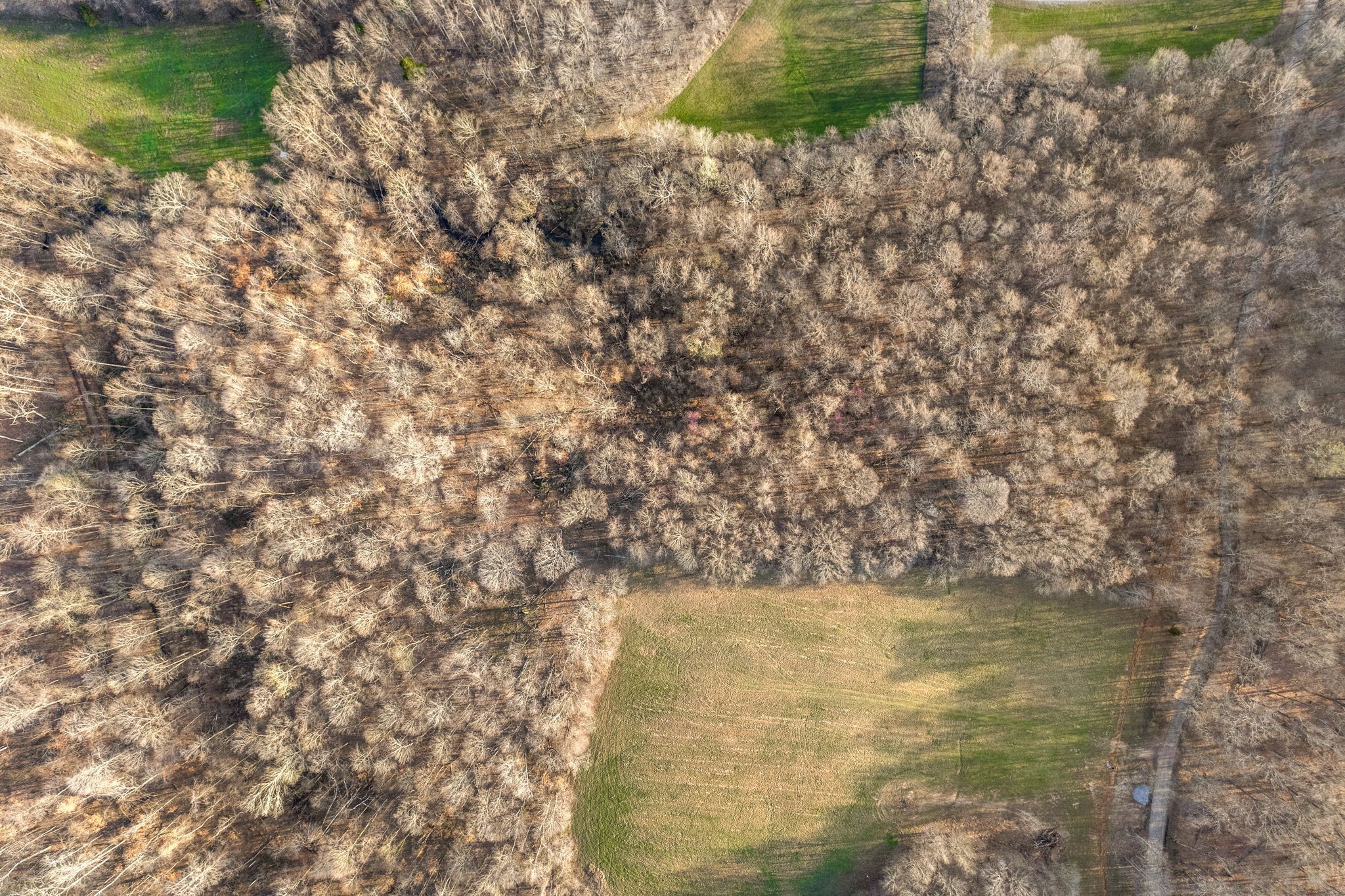 880 Wiley Brown Road