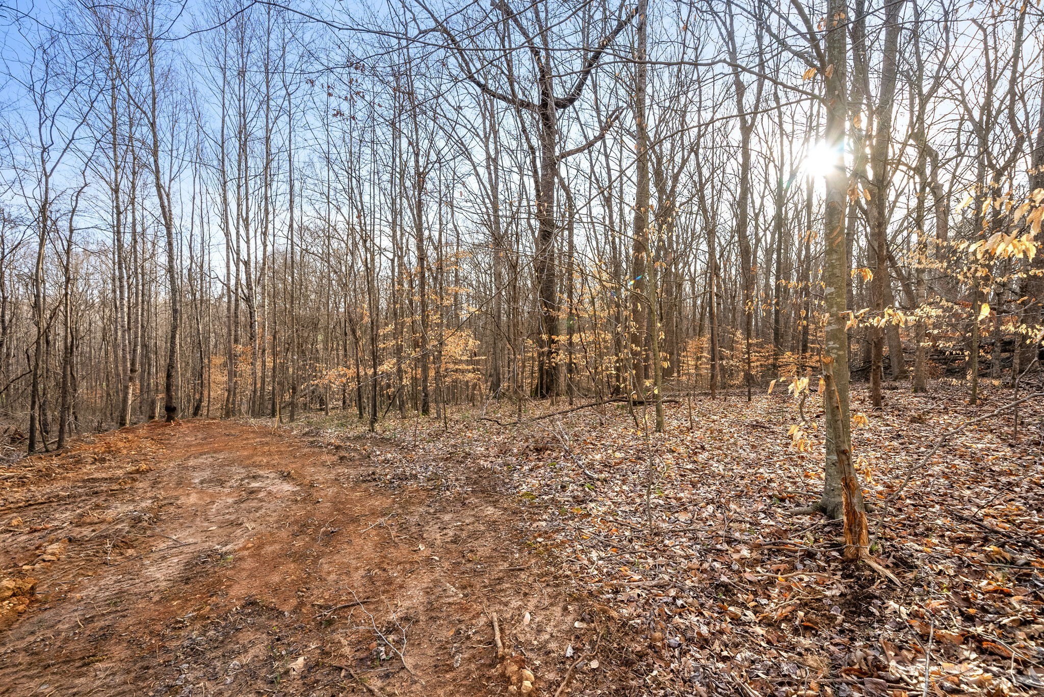 880 Wiley Brown Road