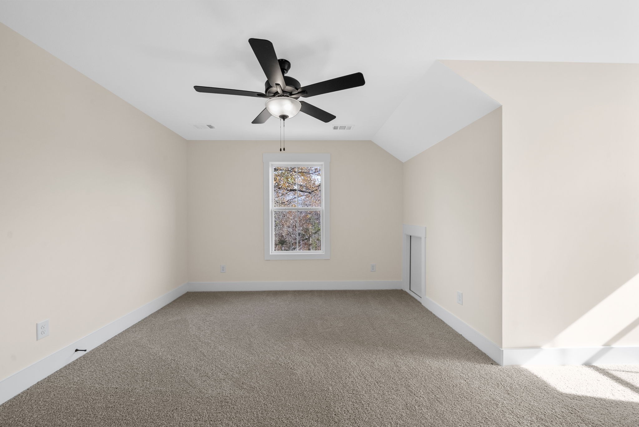 194 Dewberry Ct