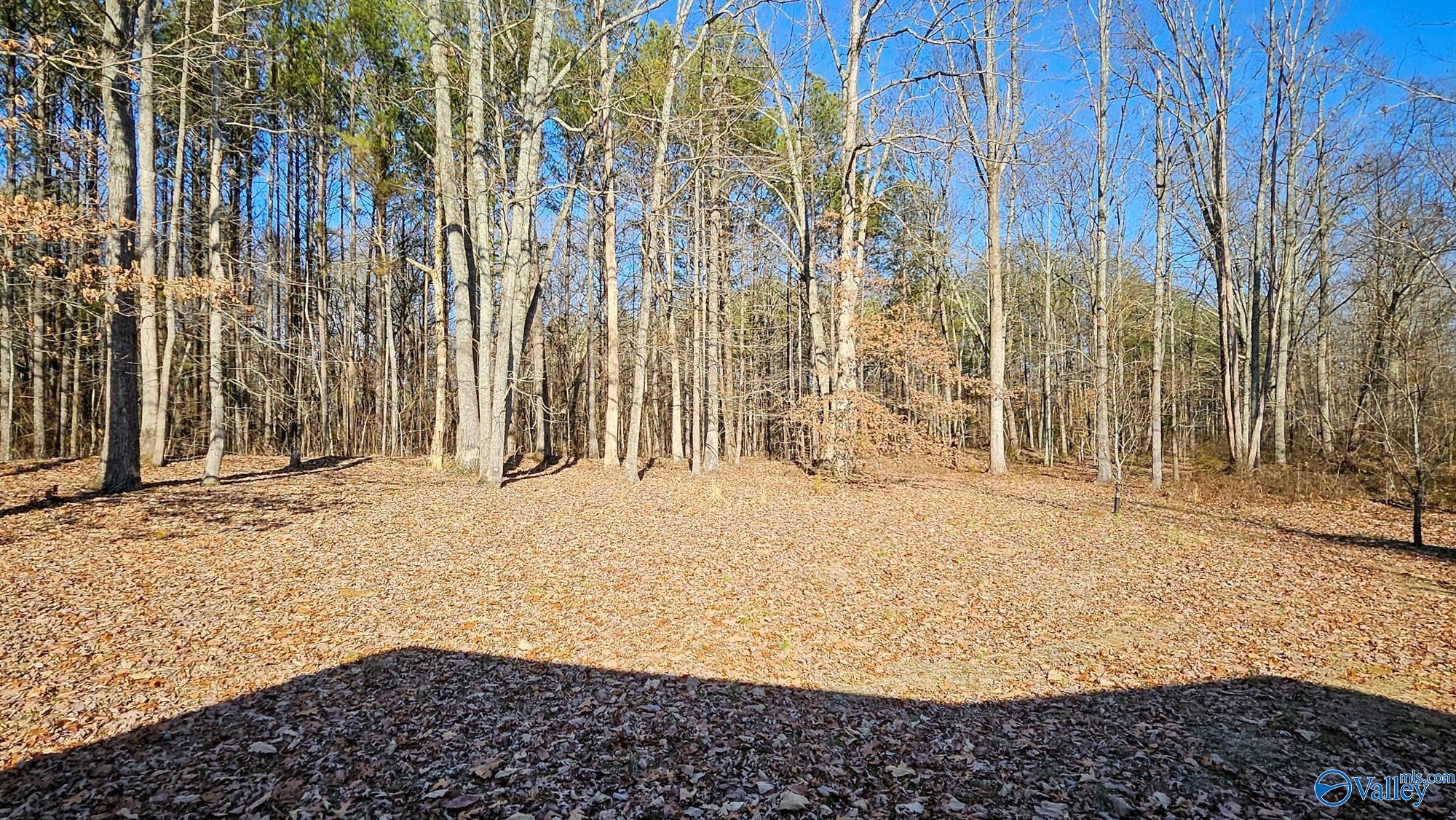 98 County Road 207