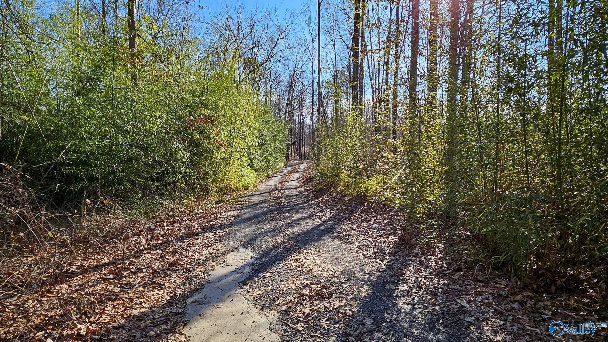 98 County Road 207