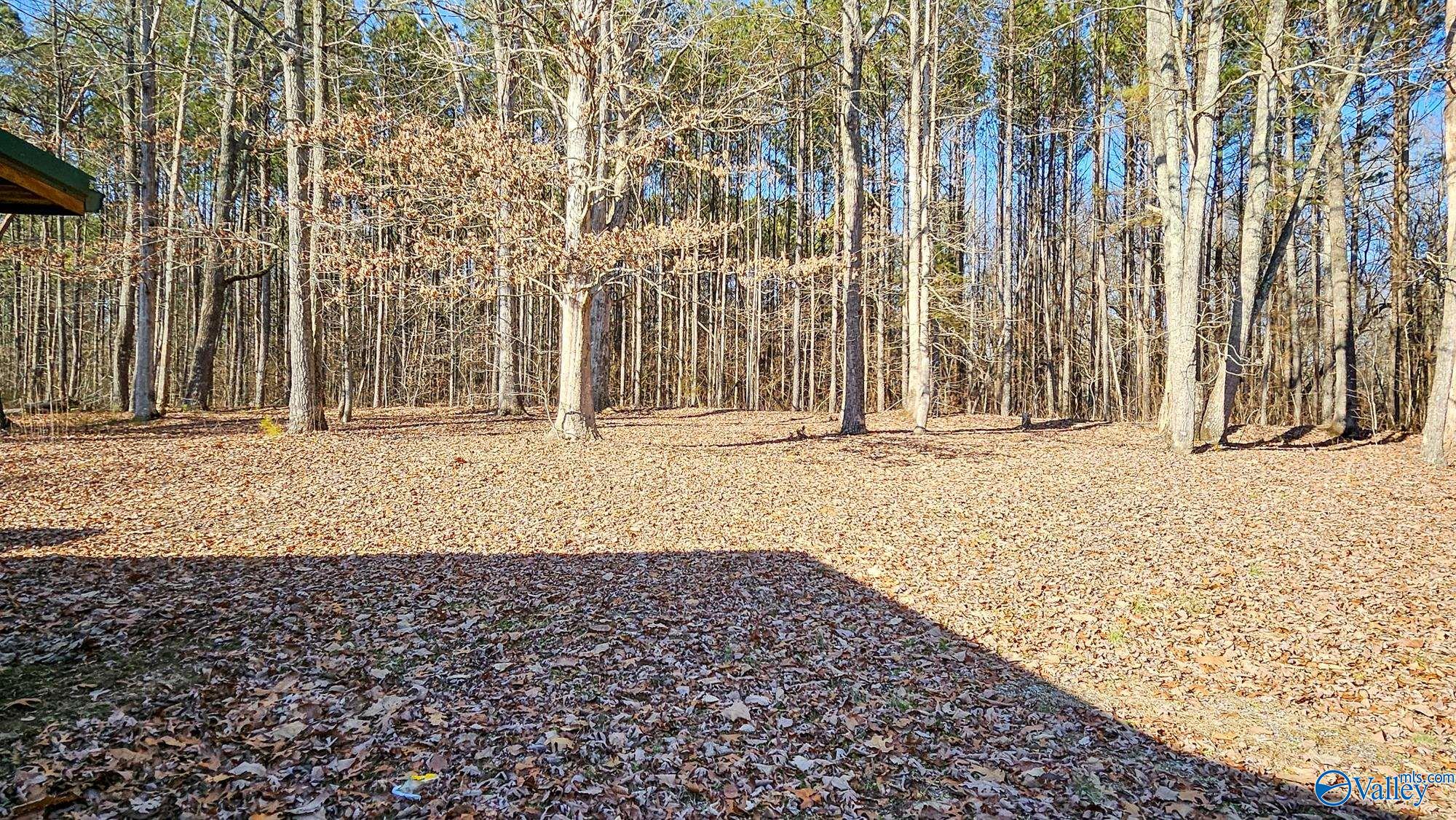 98 County Road 207