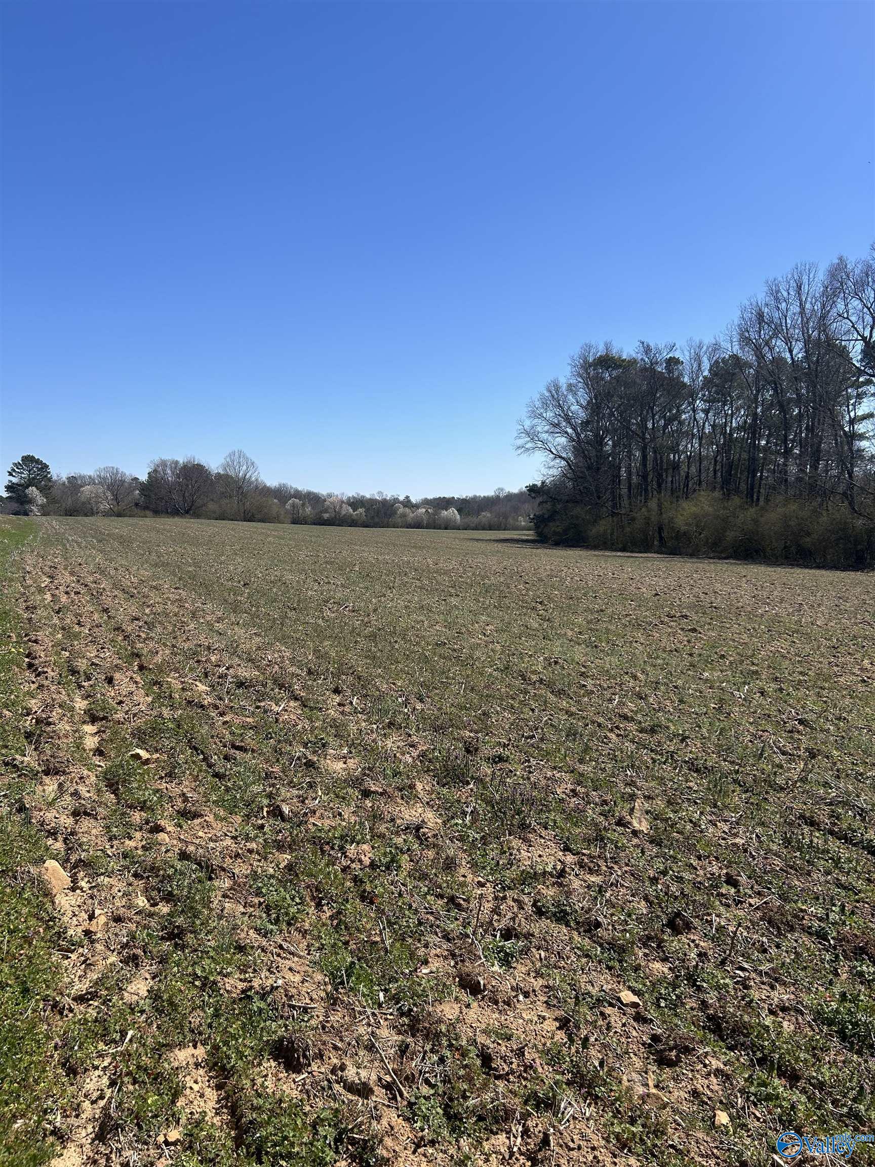 15 Acres Highland Drive