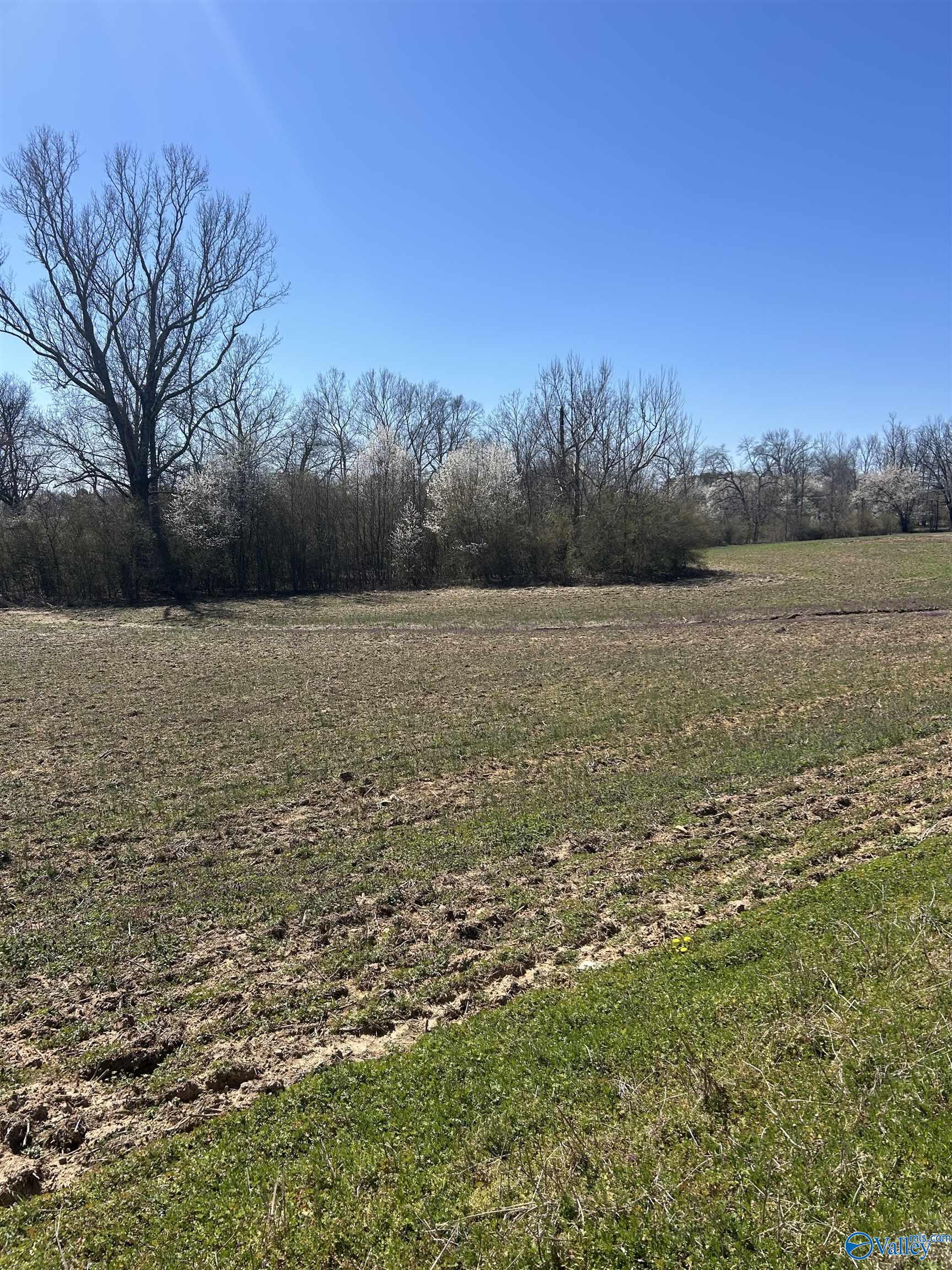 15 Acres Highland Drive