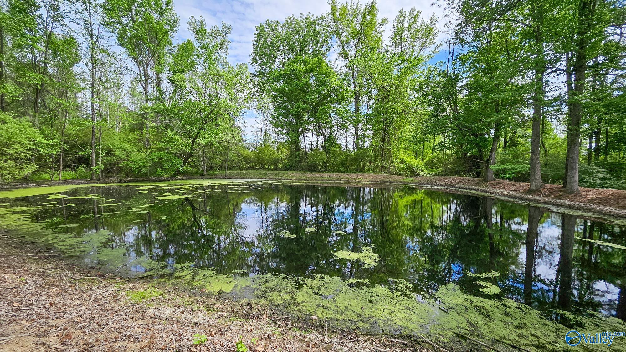 479 Bear Creek Trail