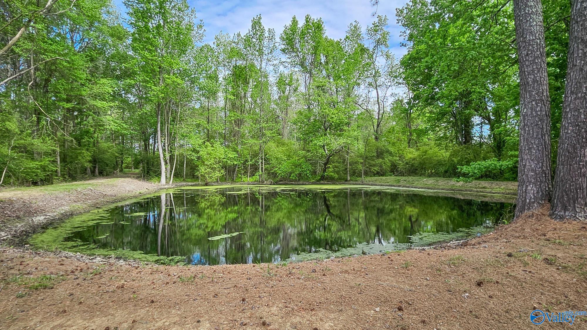 479 Bear Creek Trail