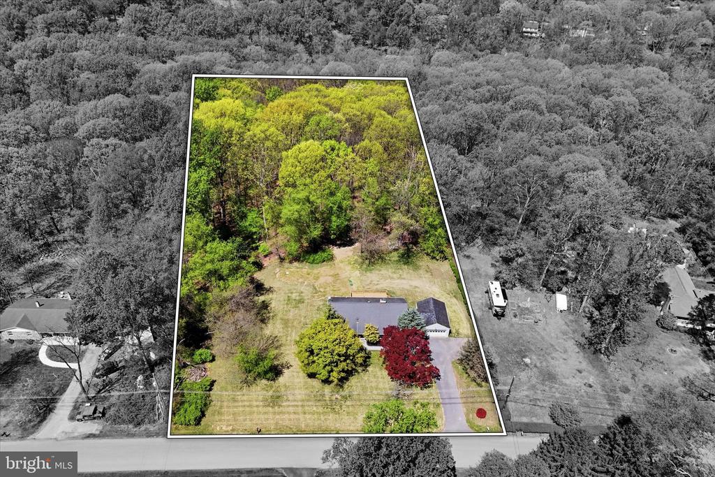 1369 PIEDMONT DRIVE
