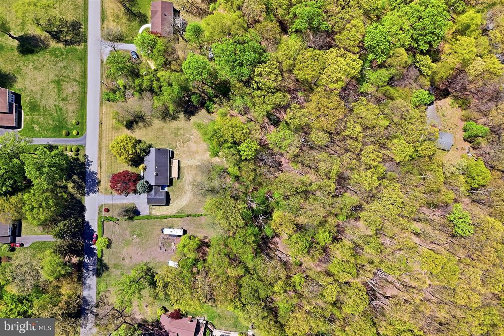 1369 PIEDMONT DRIVE
