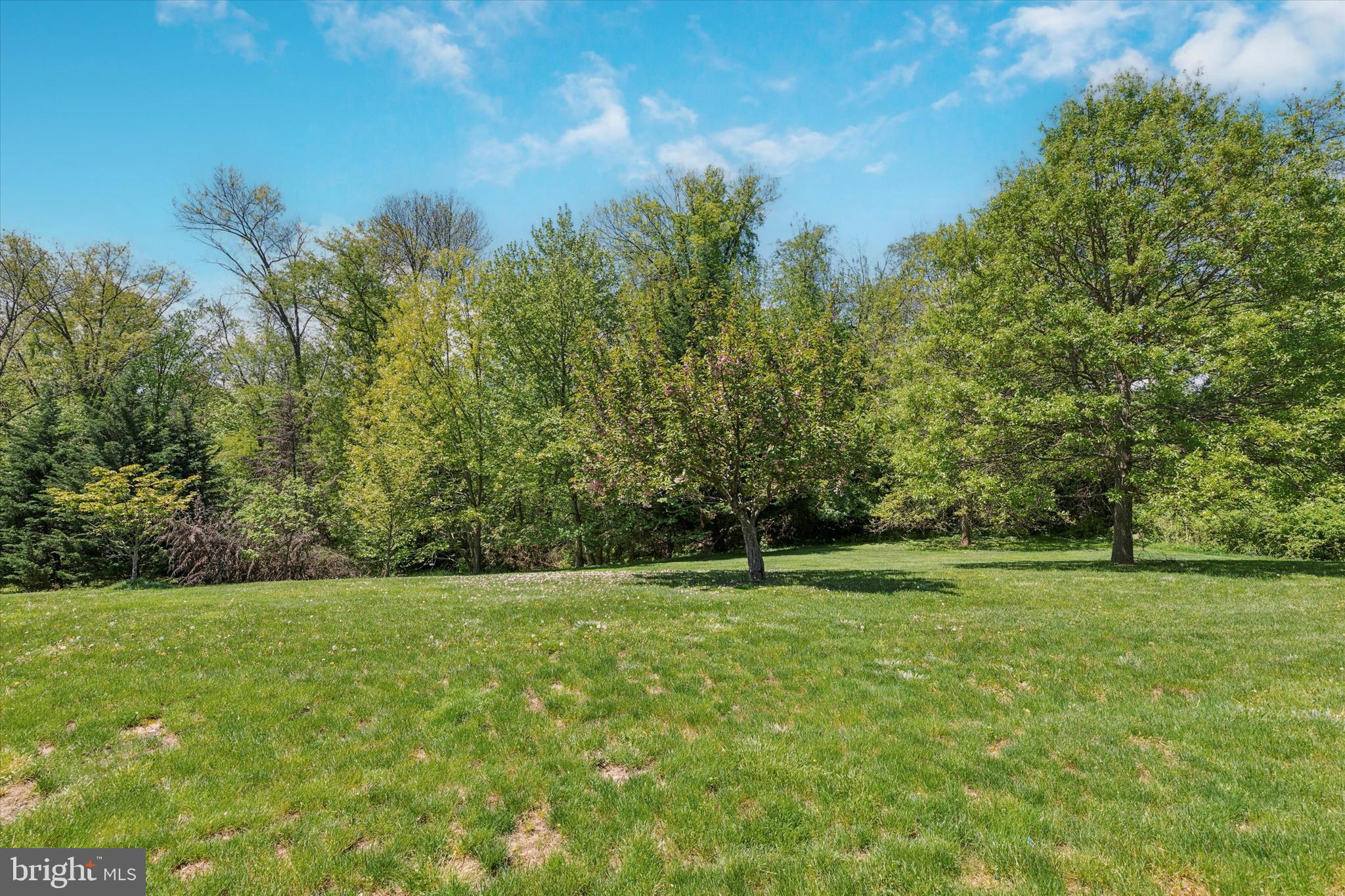 264 MacDonald Ave #20