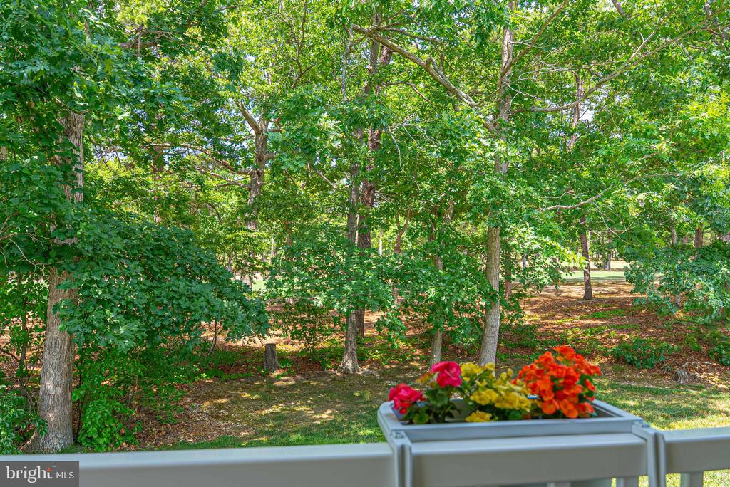 286 PEBBLE BEACH DR