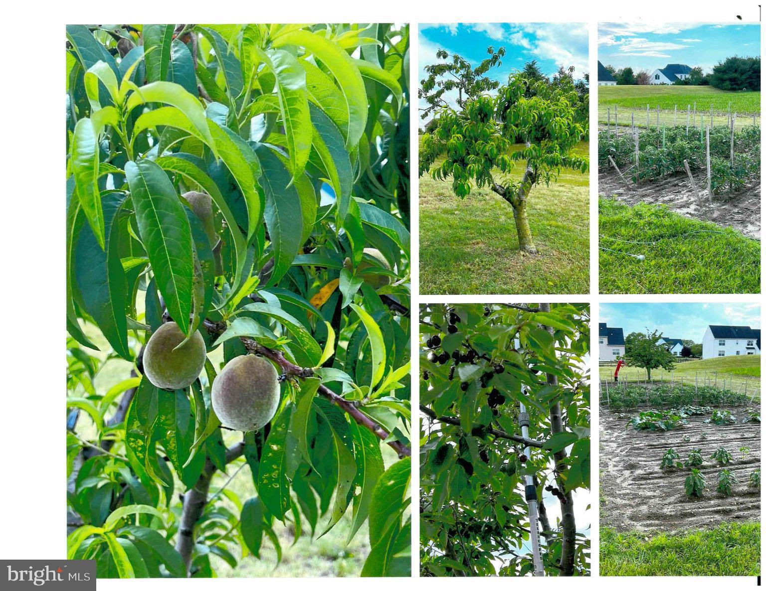 173 E WOLFERT STATION ROAD