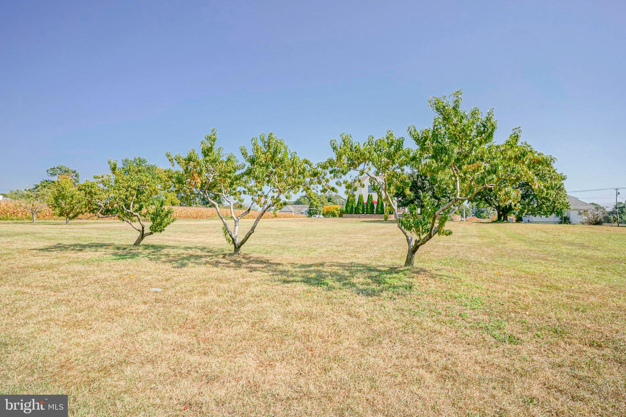 173 E WOLFERT STATION ROAD