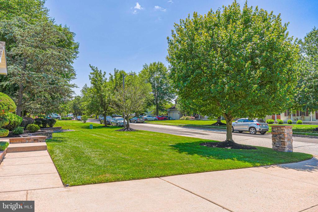 607 APPLE DRIVE