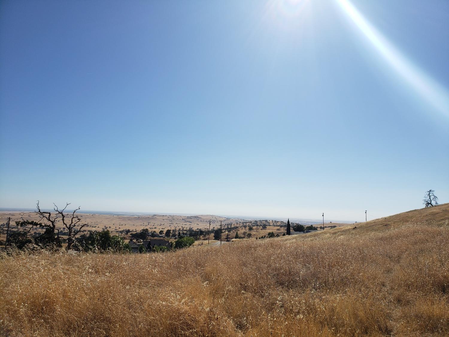 9917 Alamo Drive