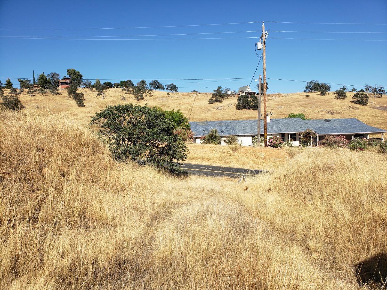 9917 Alamo Drive