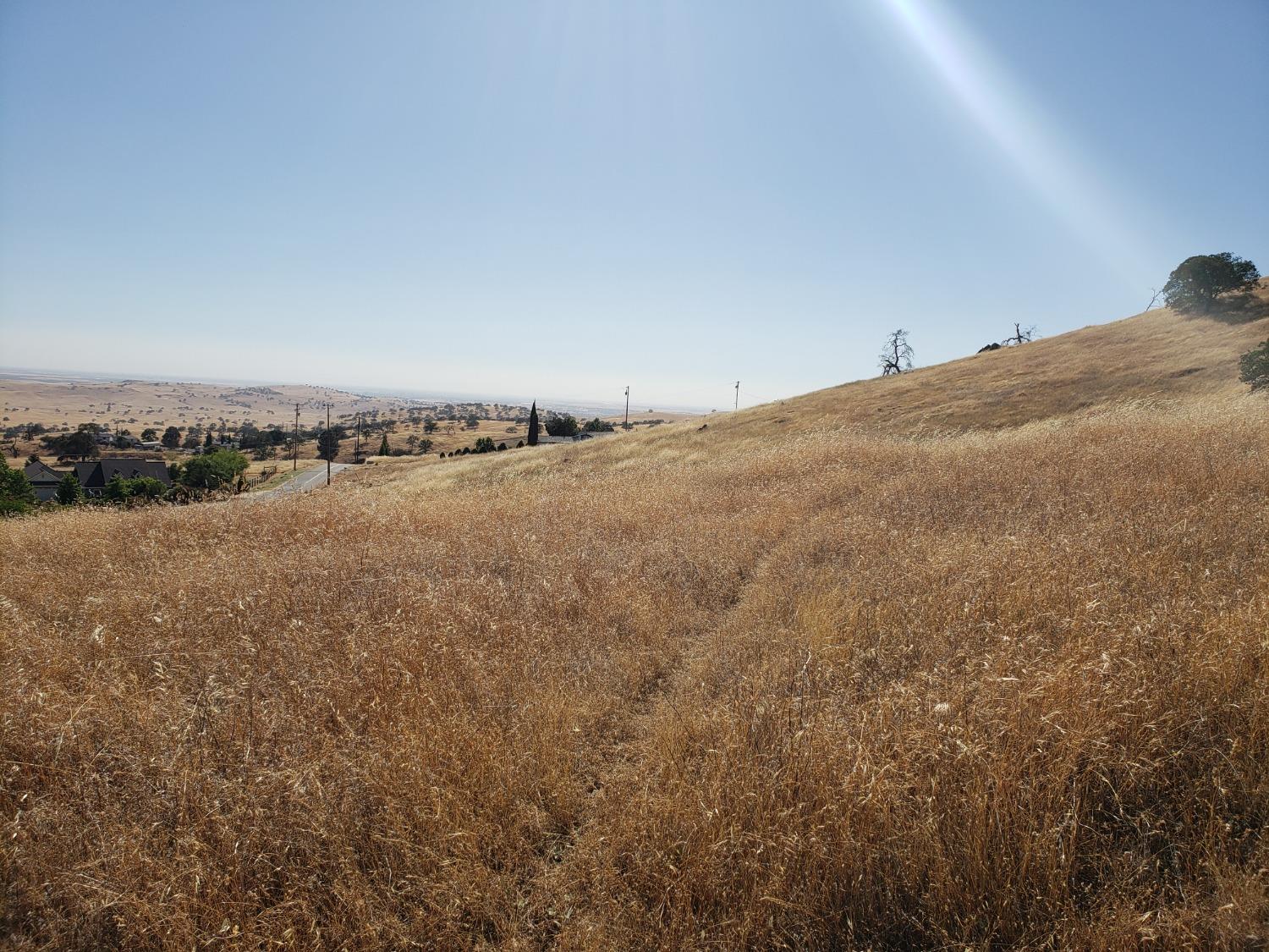 9917 Alamo Drive
