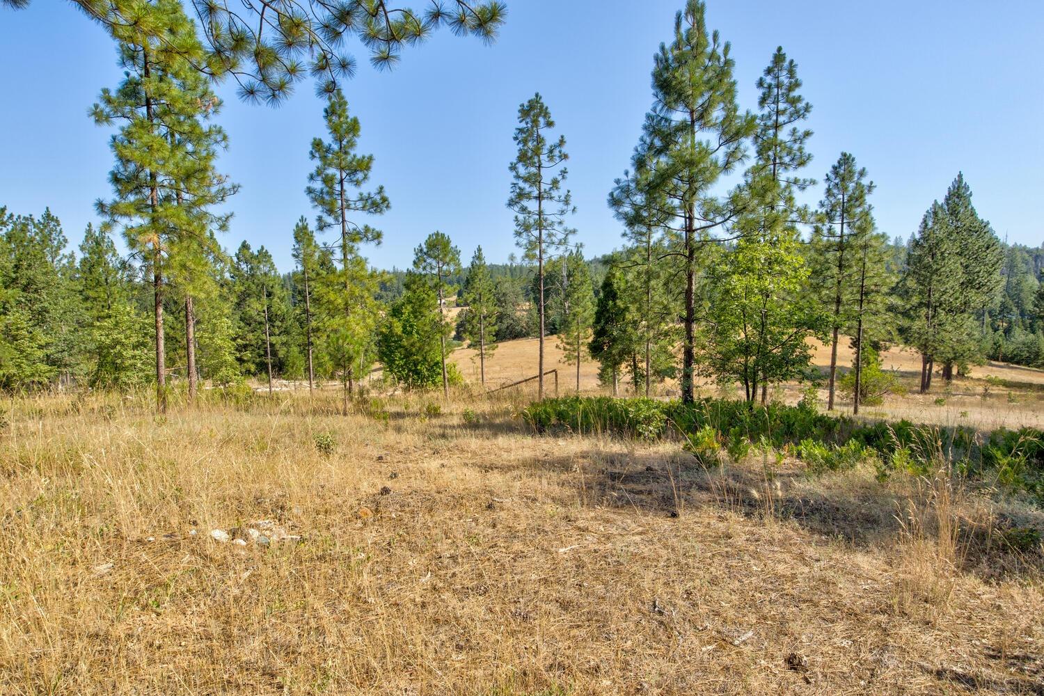 6427 Millbrow Lane