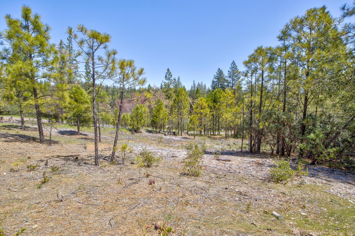 9413 E Ponderosa Way
