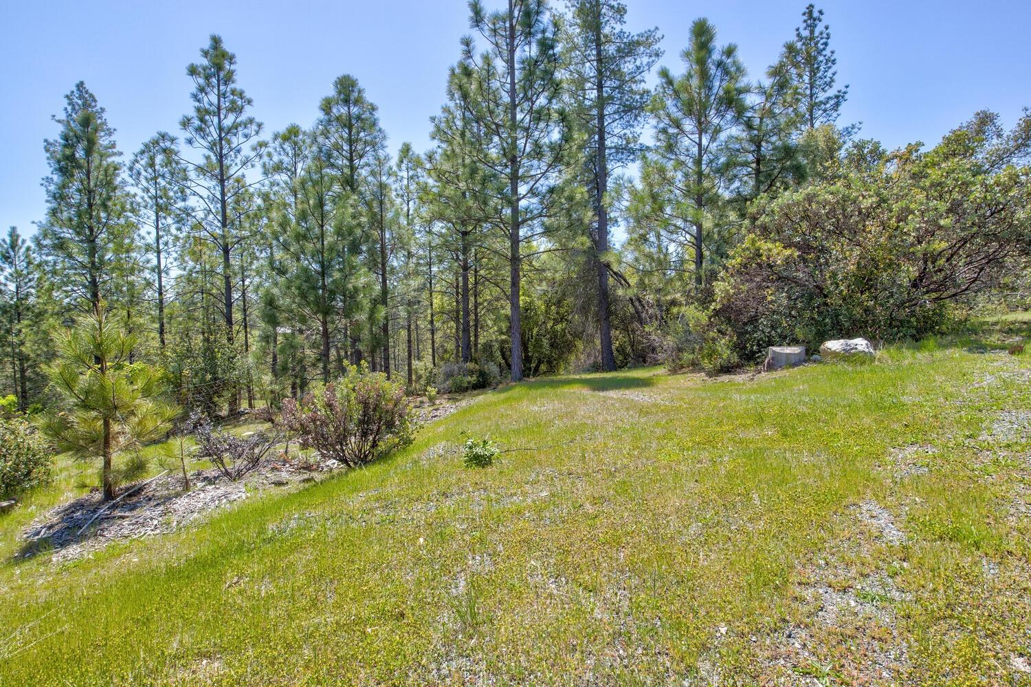 9413 E Ponderosa Way
