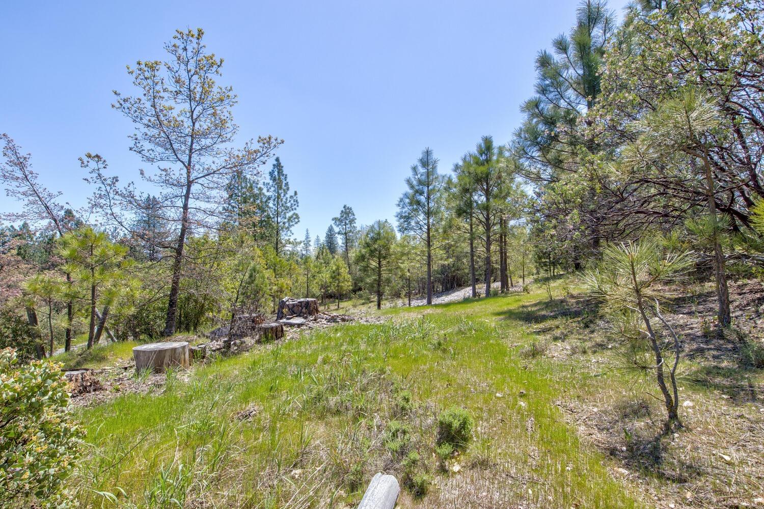 9413 E Ponderosa Way