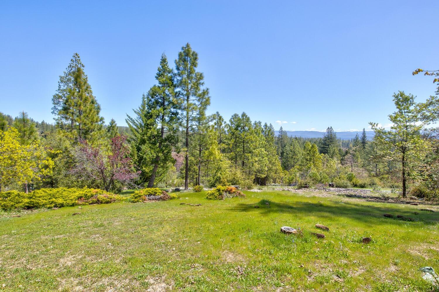 9413 E Ponderosa Way