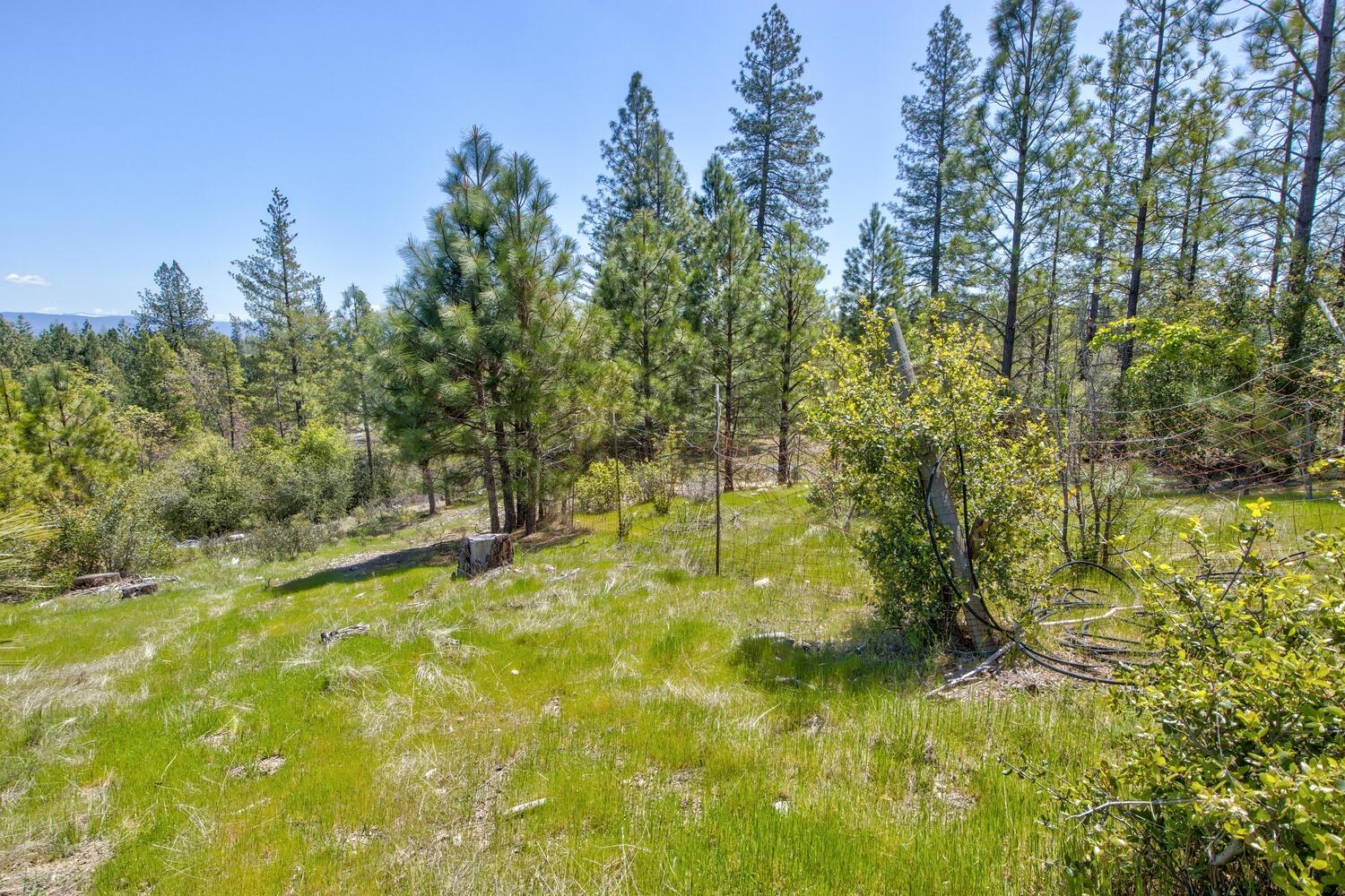 9413 E Ponderosa Way