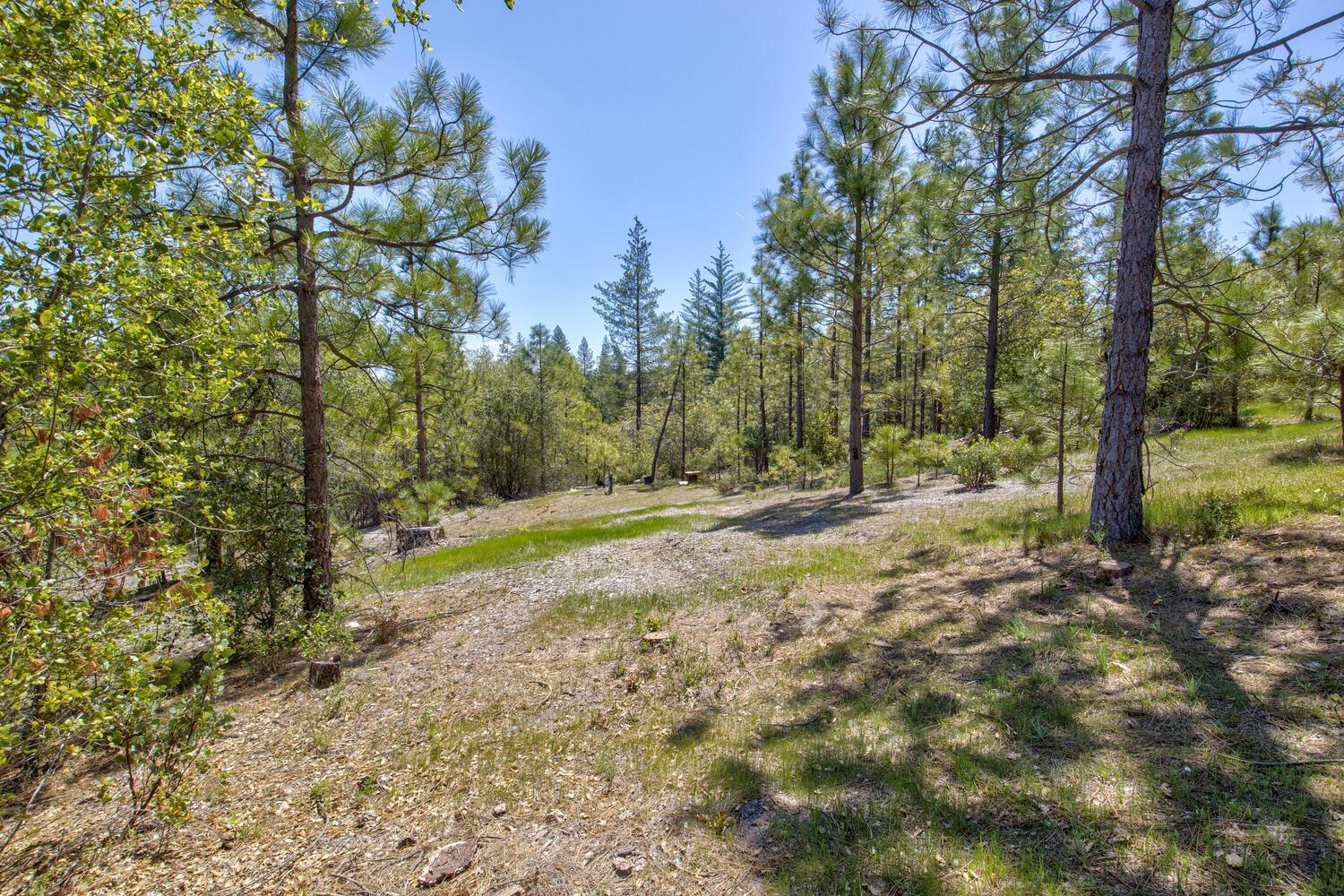 9413 E Ponderosa Way