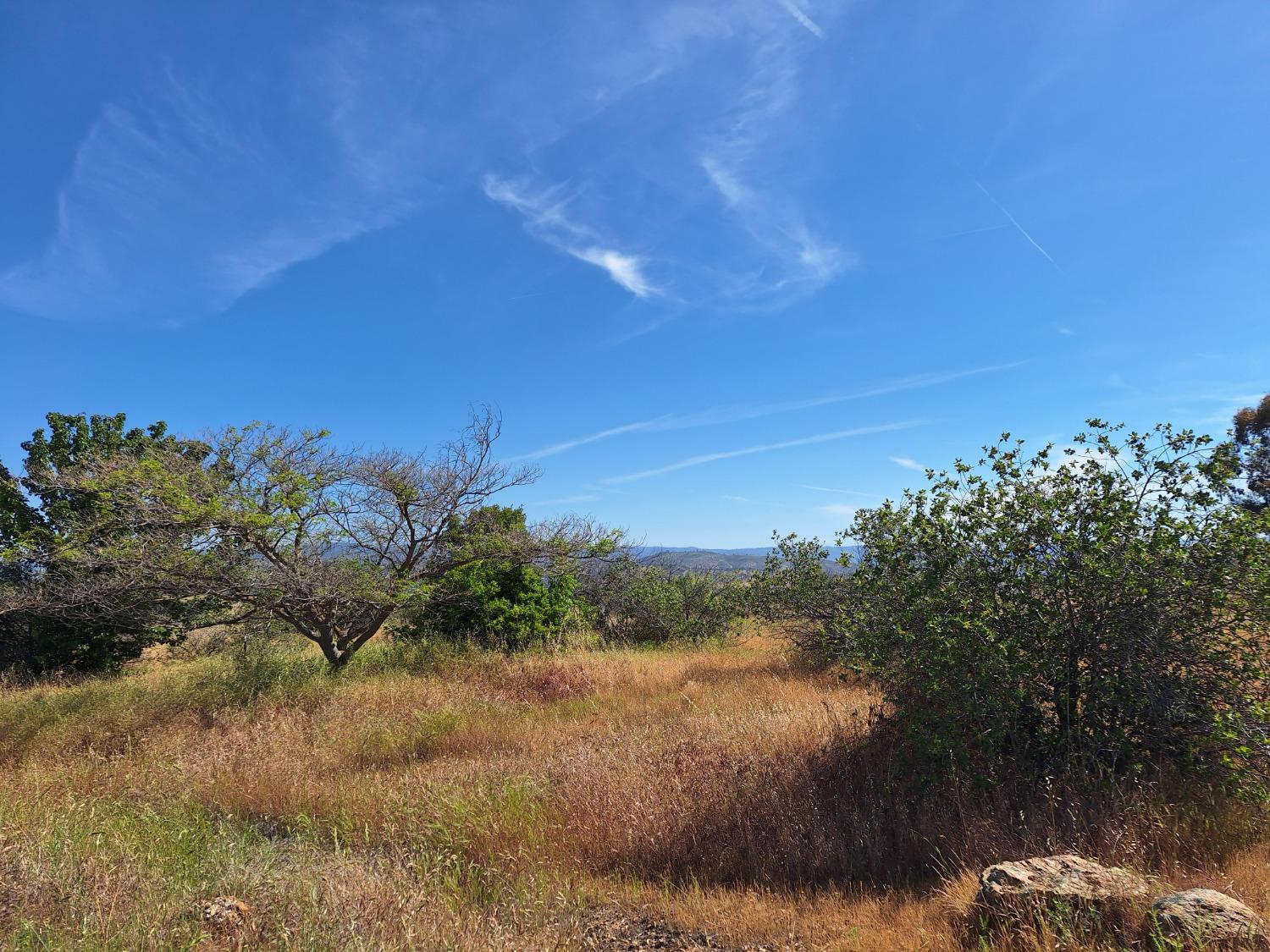 9724 Picadero Way