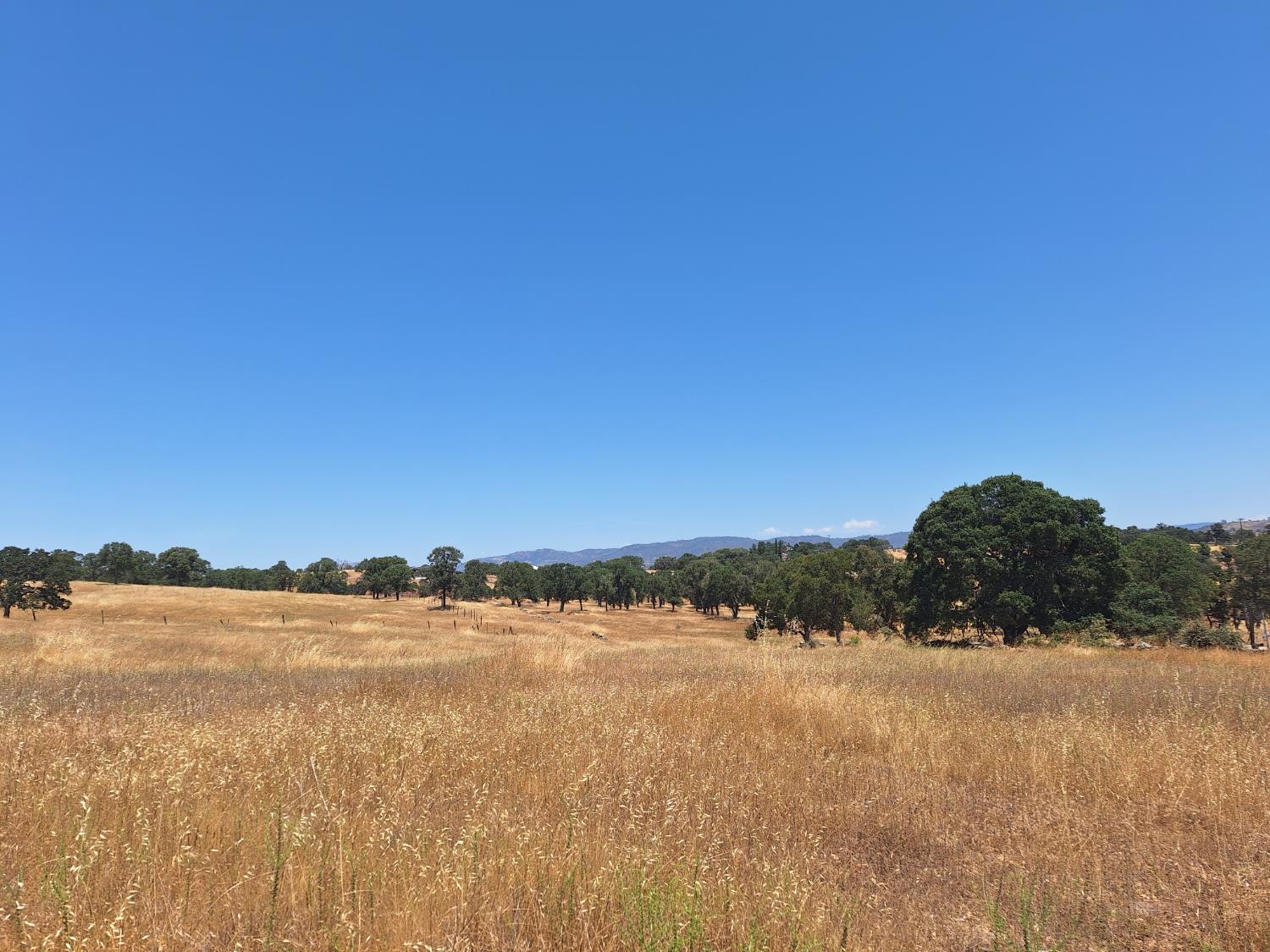 2733 Escalon Court