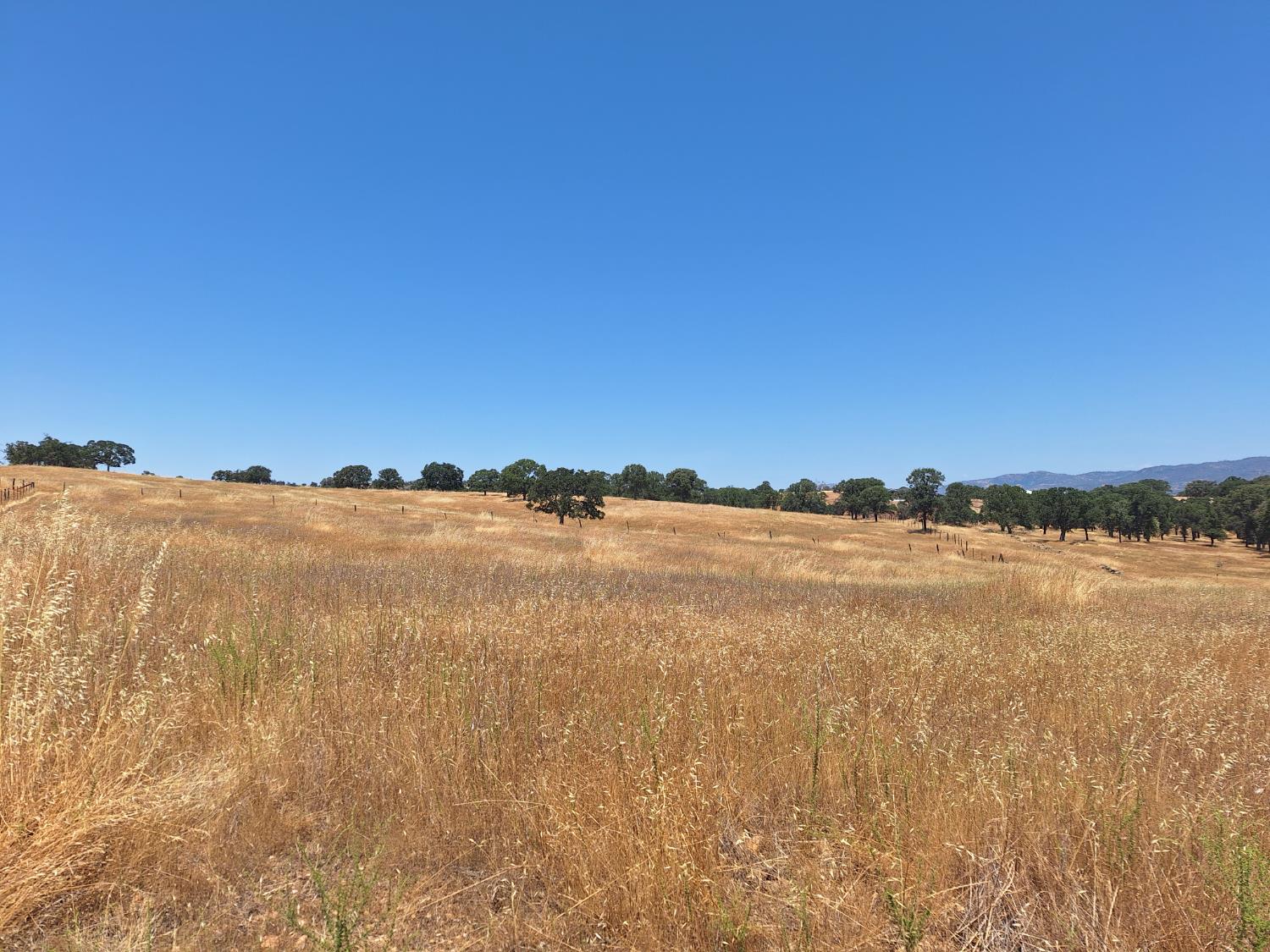 2733 Escalon Court