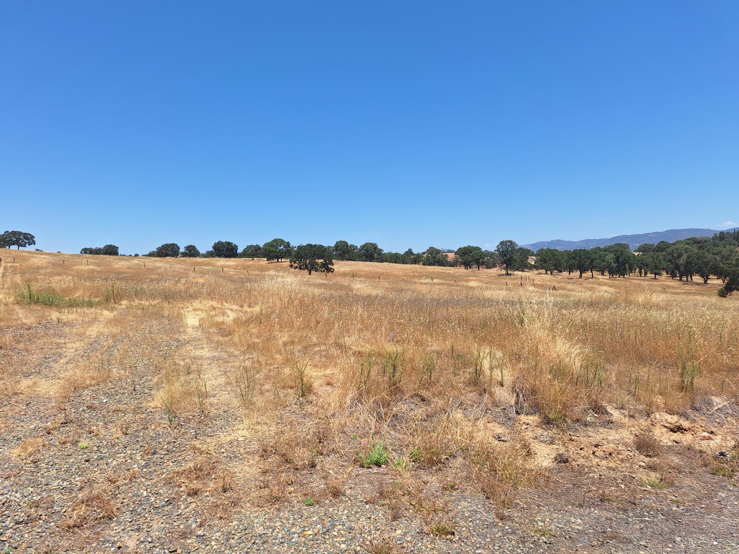 2733 Escalon Court