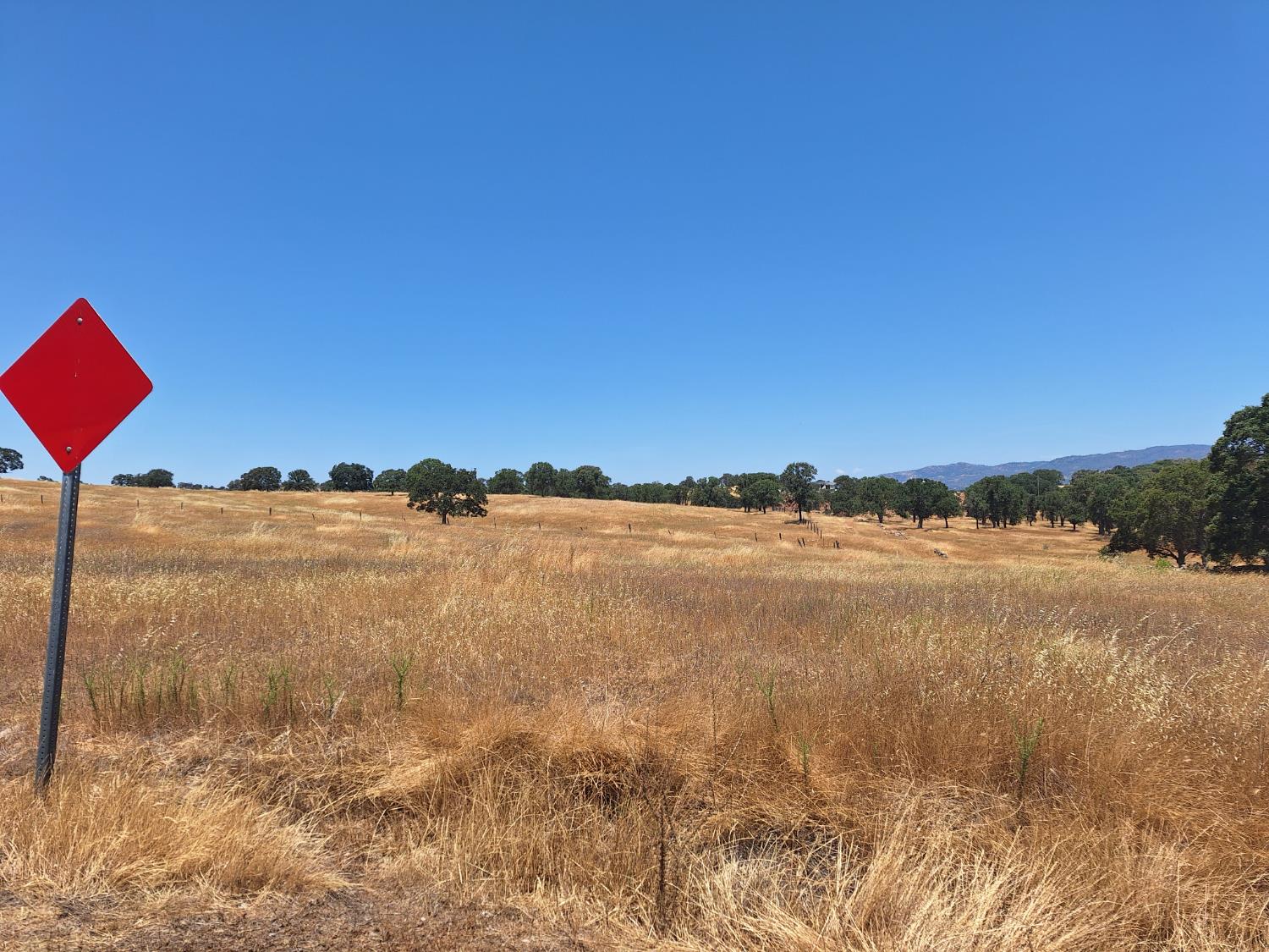 2733 Escalon Court