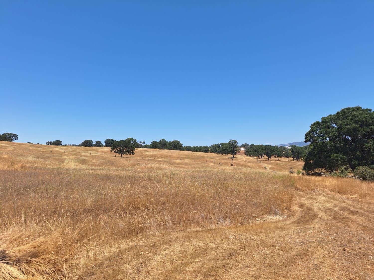 2733 Escalon Court