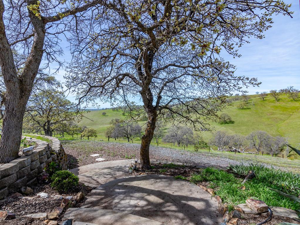 9883 Hernandez Drive