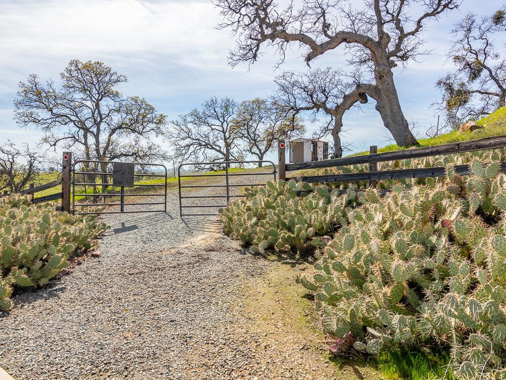 9883 Hernandez Drive