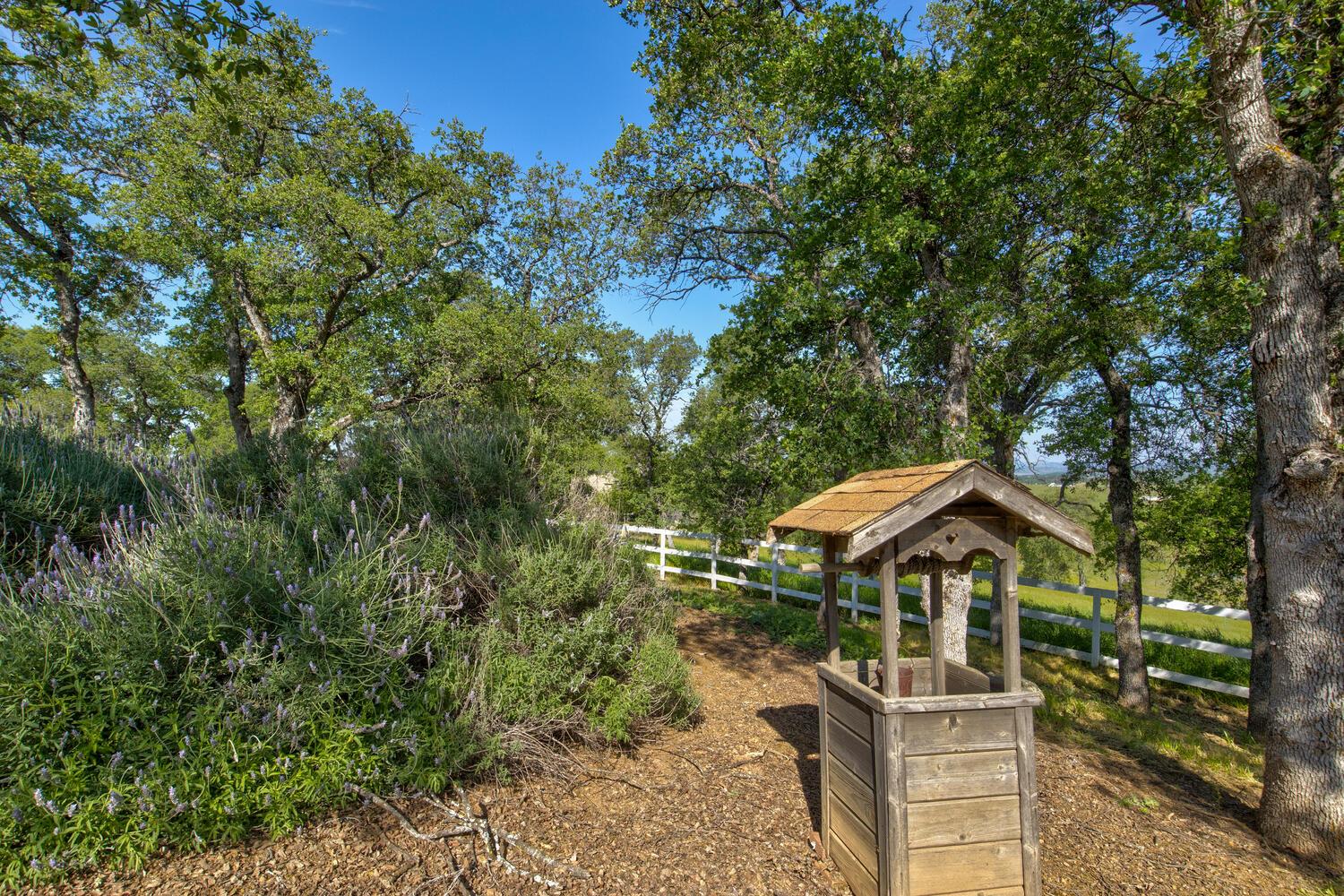 9564 Coronado Drive