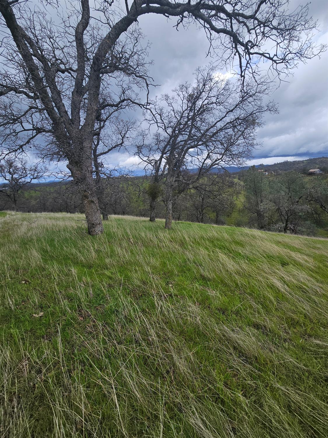 2275 Buena Vista Drive
