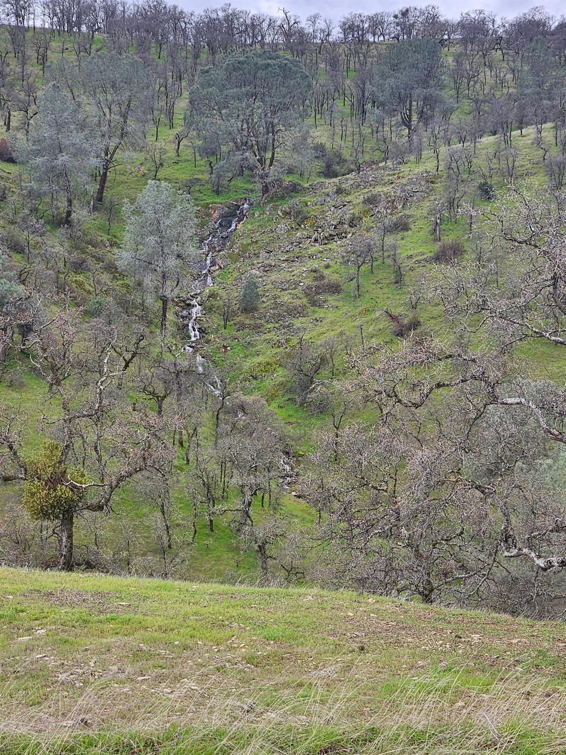 2275 Buena Vista Drive