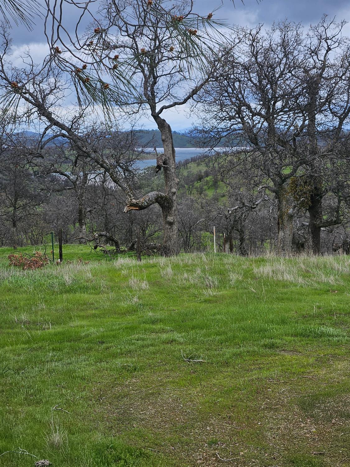 2275 Buena Vista Drive