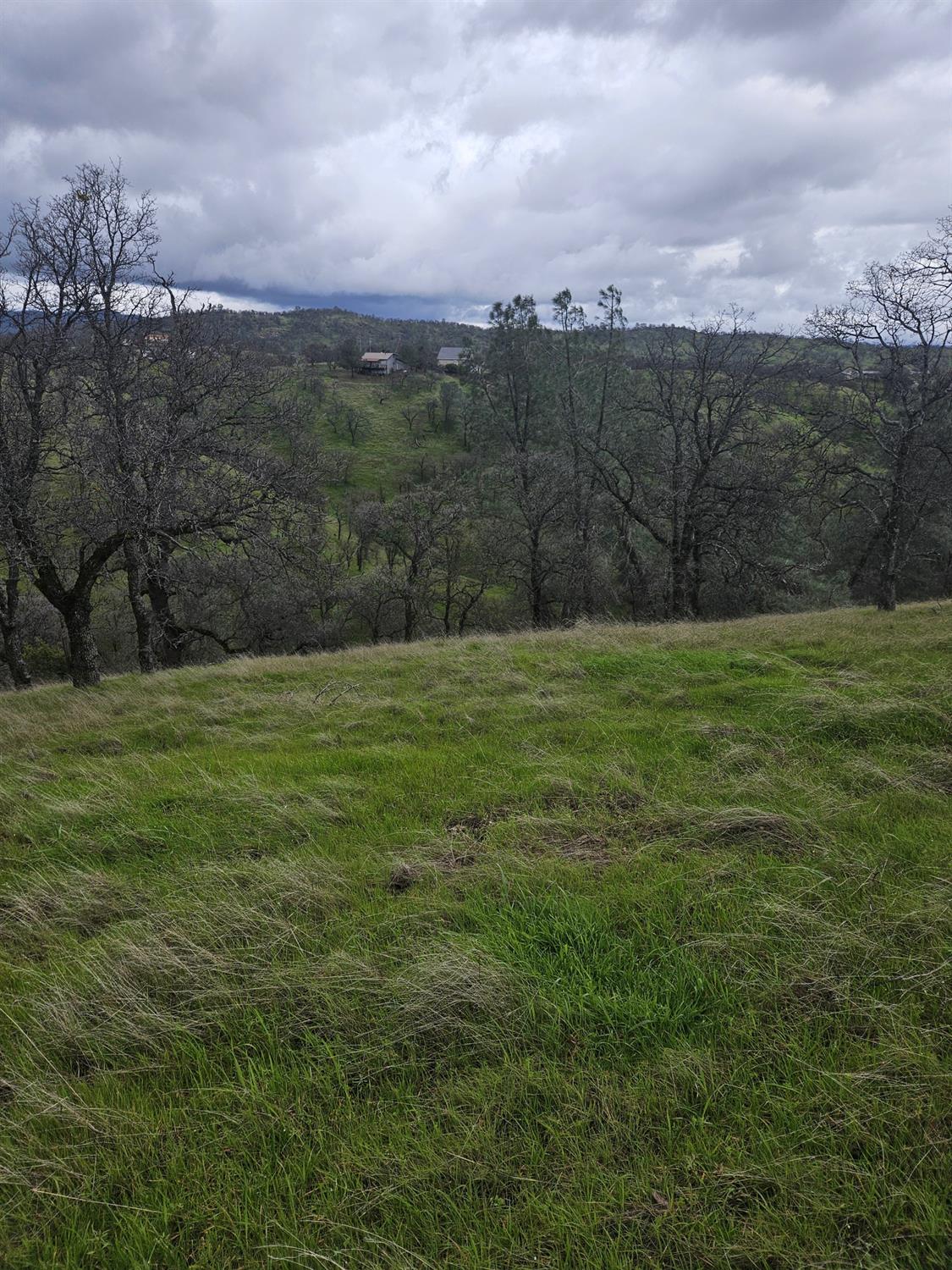 2275 Buena Vista Drive
