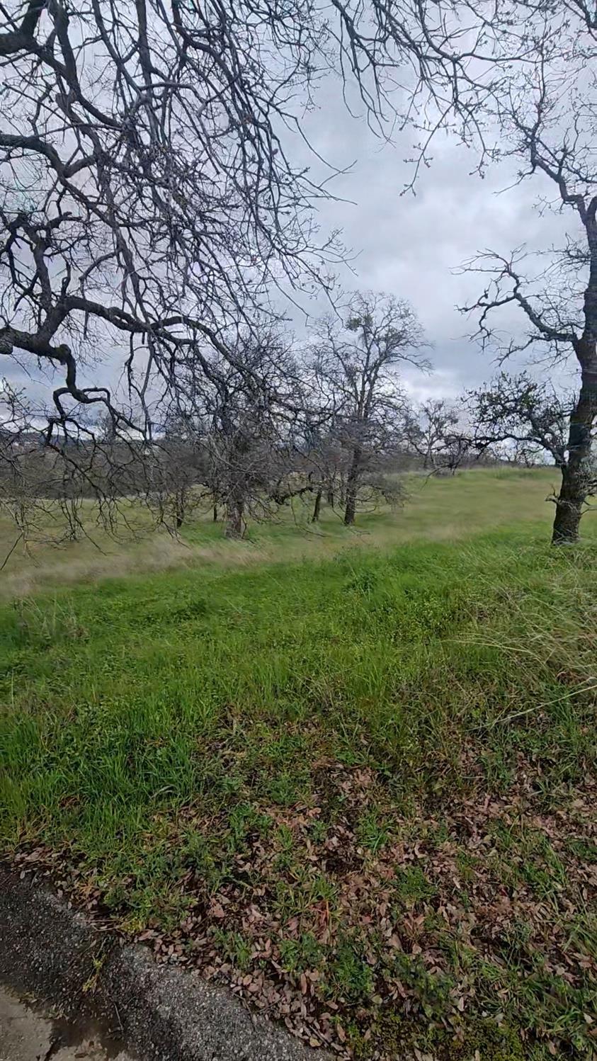 2275 Buena Vista Drive