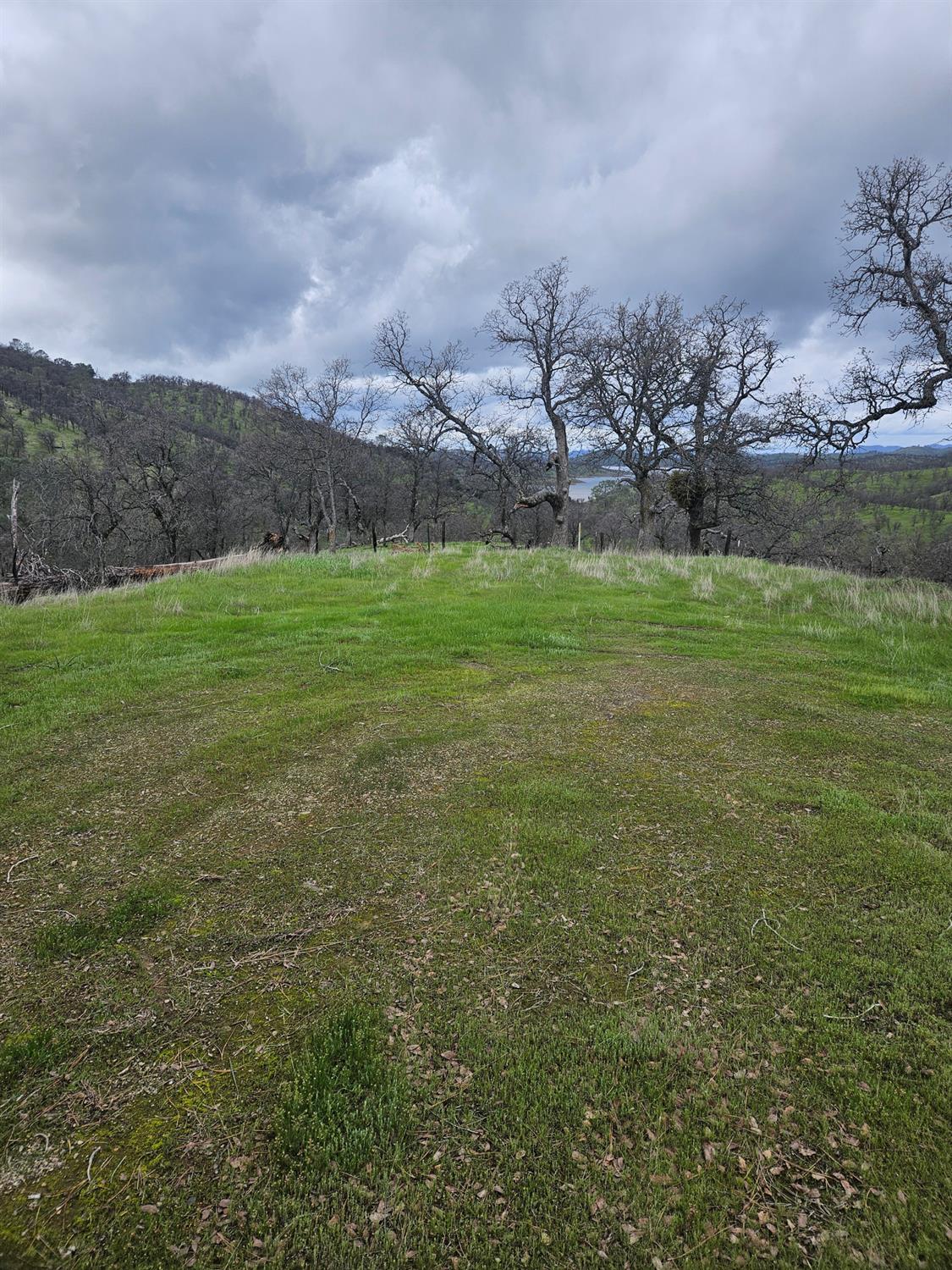 2275 Buena Vista Drive