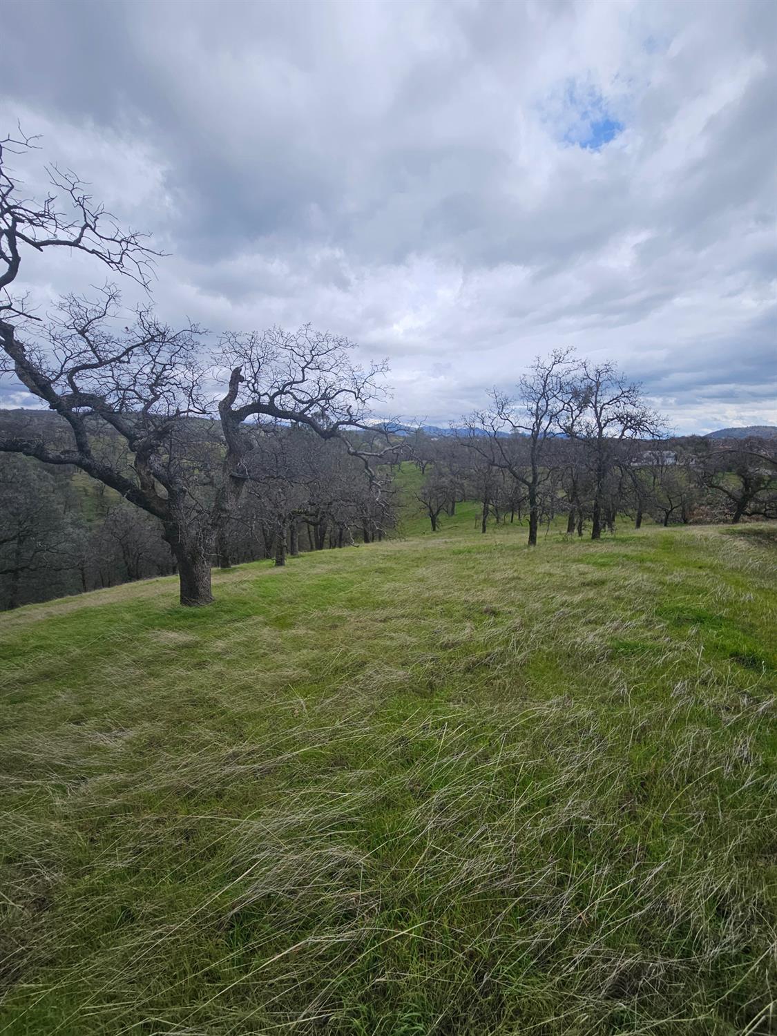 2275 Buena Vista Drive