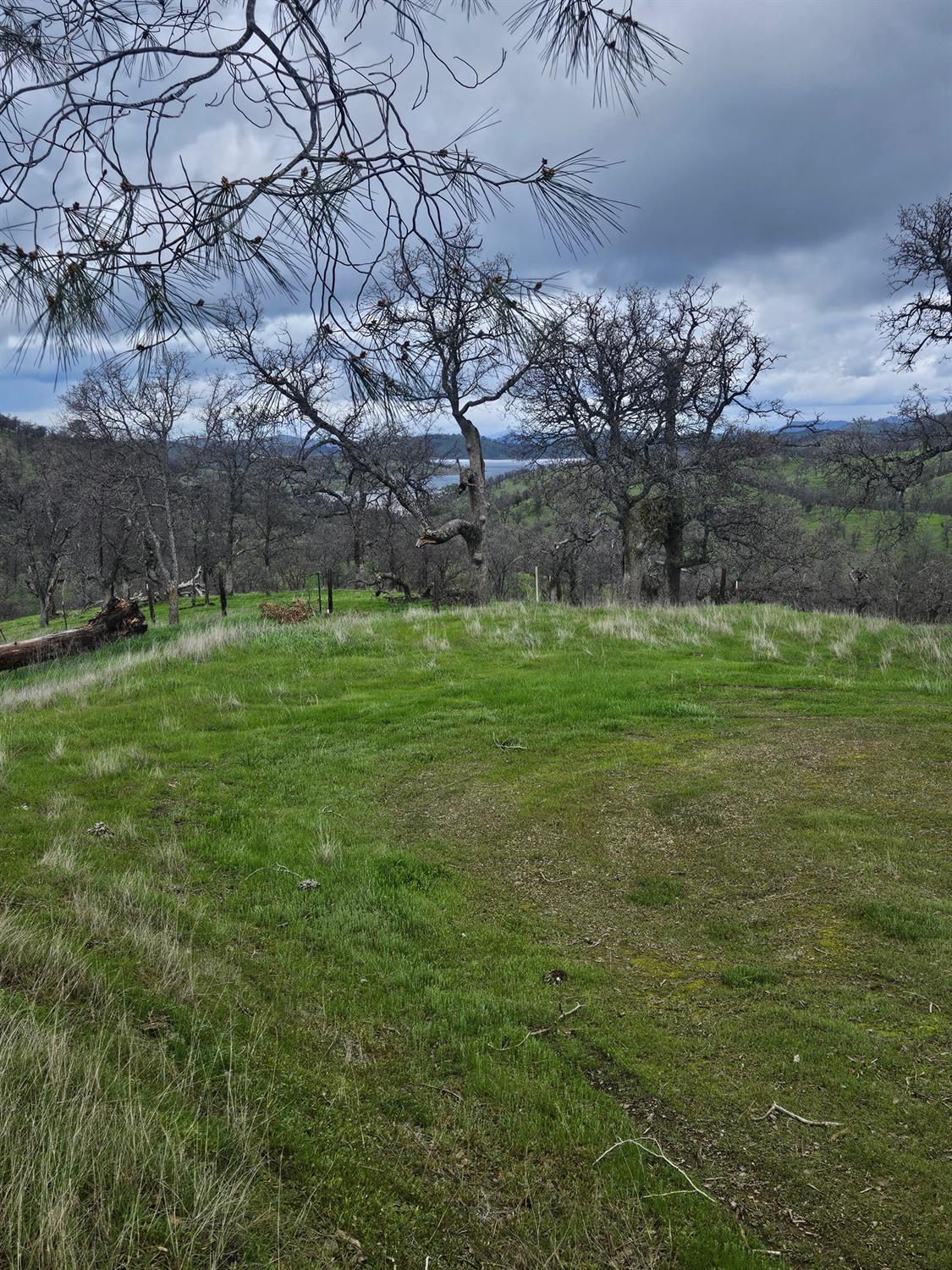 2275 Buena Vista Drive