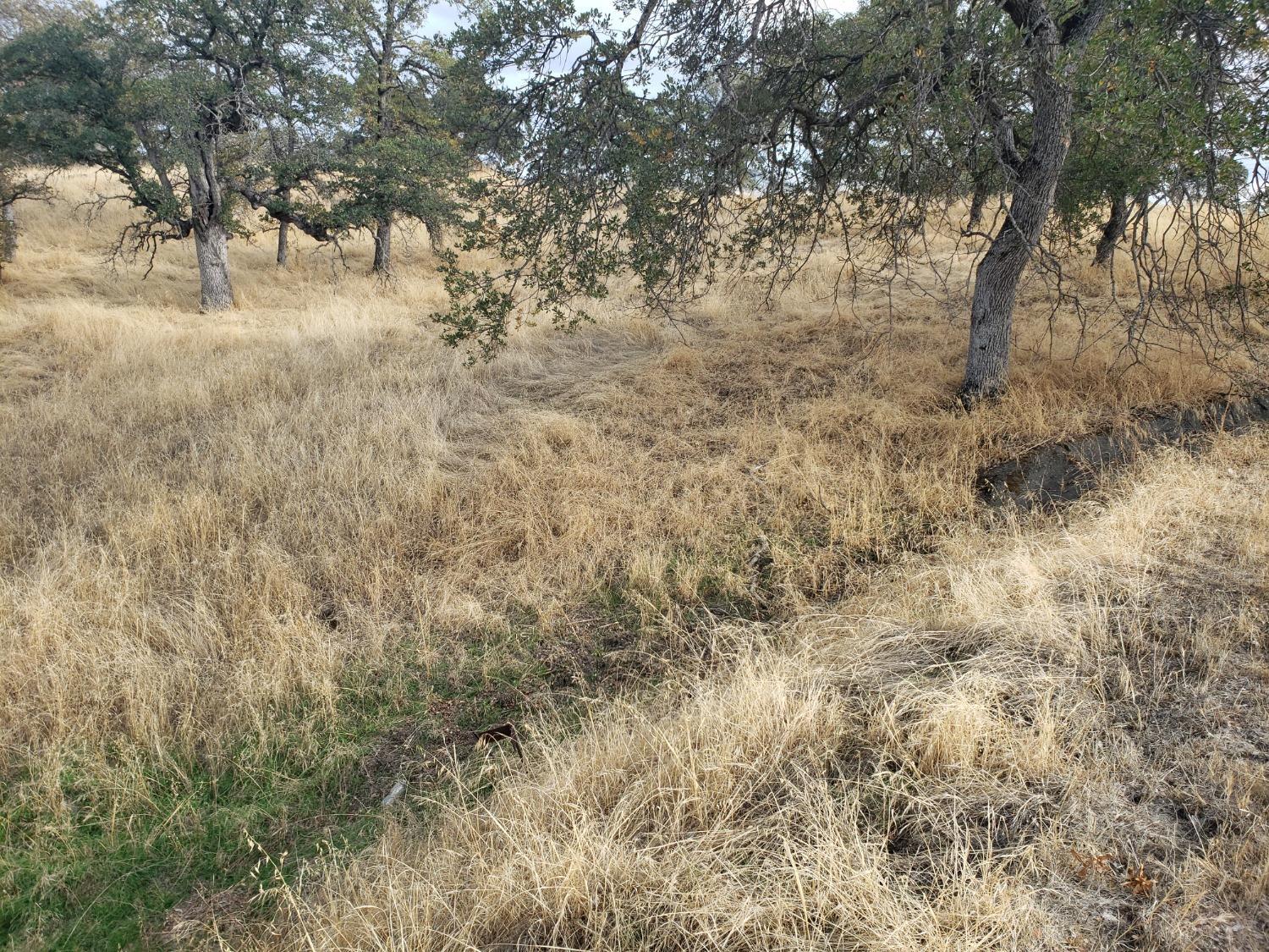 2275 Buena Vista Drive
