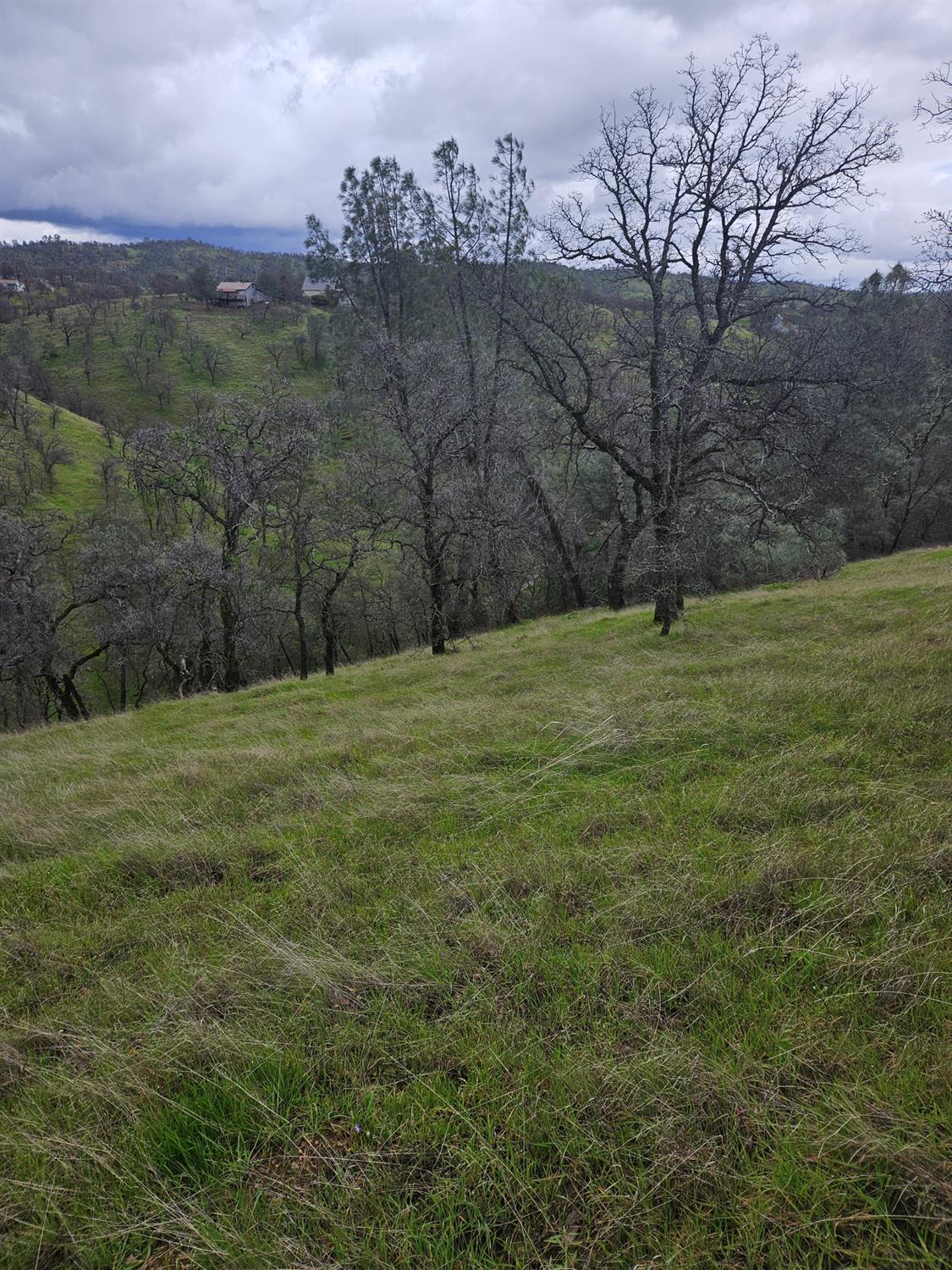 2275 Buena Vista Drive