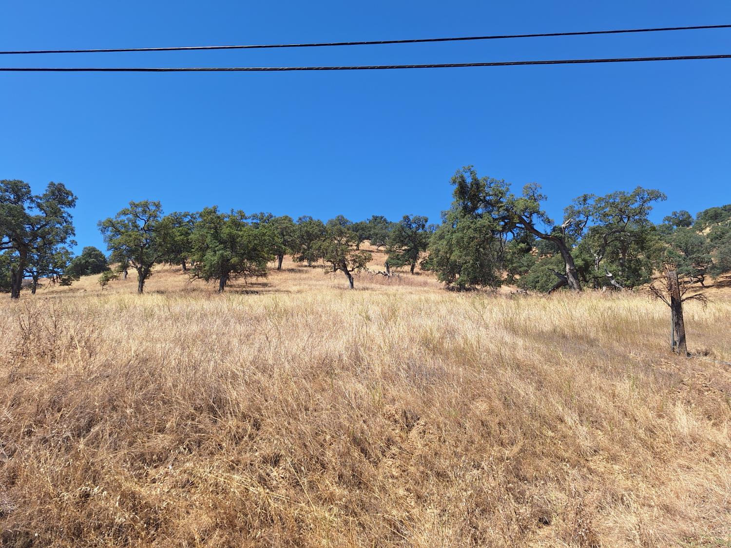 10100 Alamo Drive