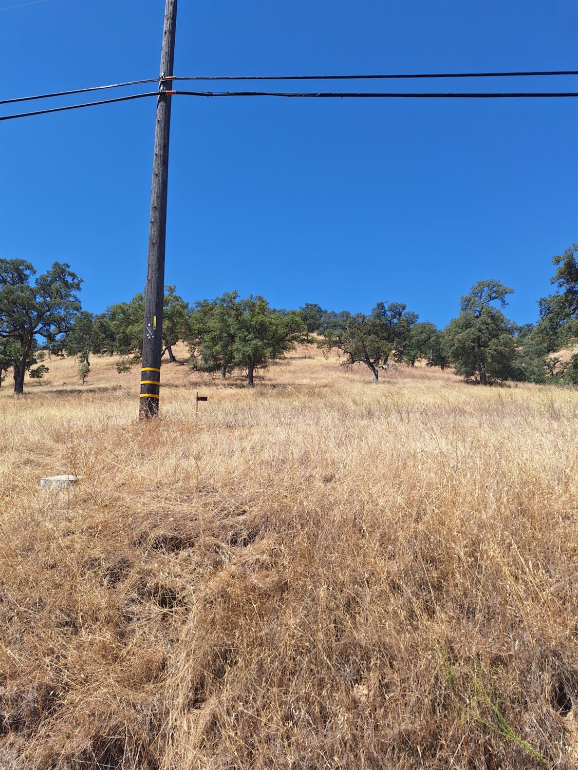 10100 Alamo Drive