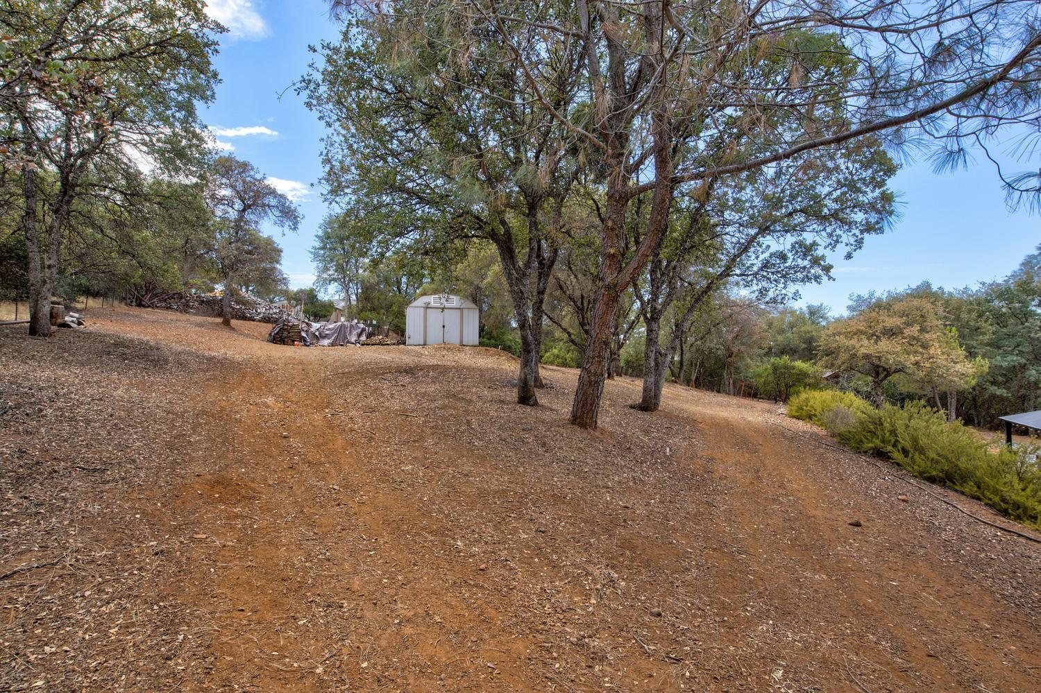 3180 Grillo Drive